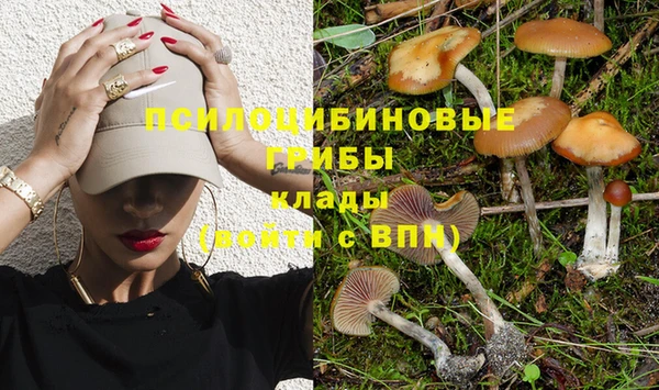 кокс Заволжск