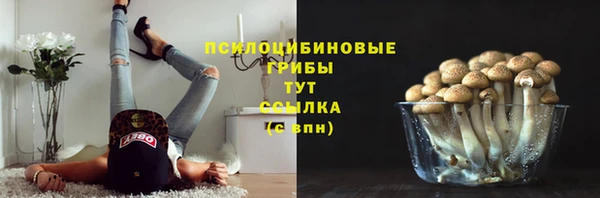 прущая мука Заводоуковск
