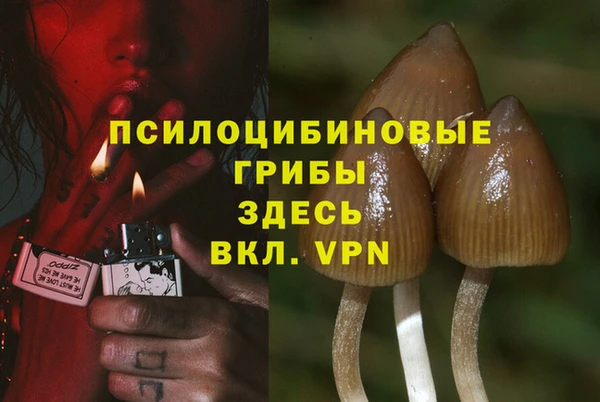 прущая мука Заводоуковск