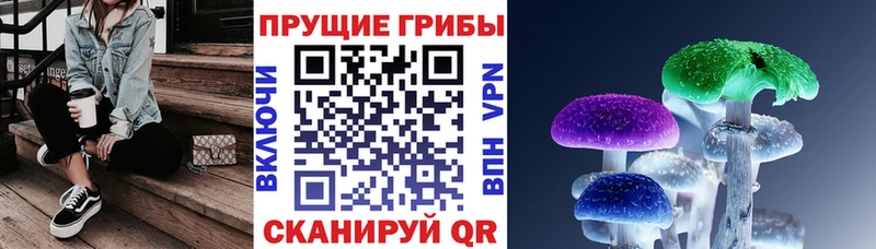 Галлюциногенные грибы прущие грибы  Купить  Донецк 